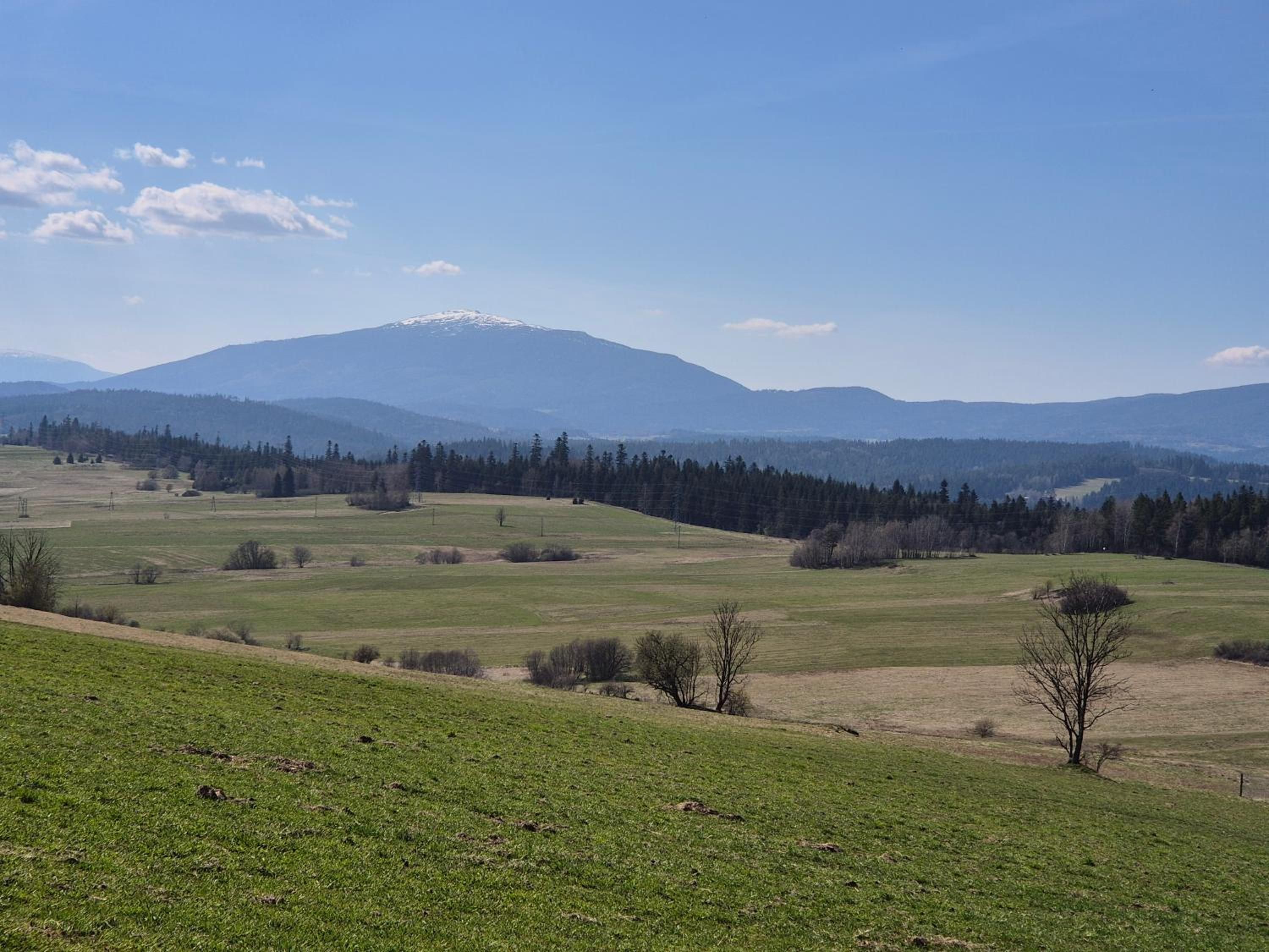 Pola, las i górska panorama w okolicy Lawendowego Domku